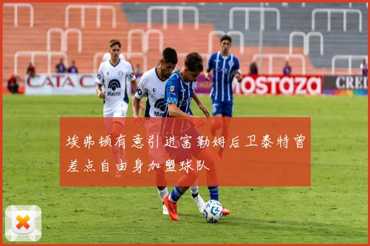 埃弗顿有意引进富勒姆后卫泰特曾差点自由身加盟球队