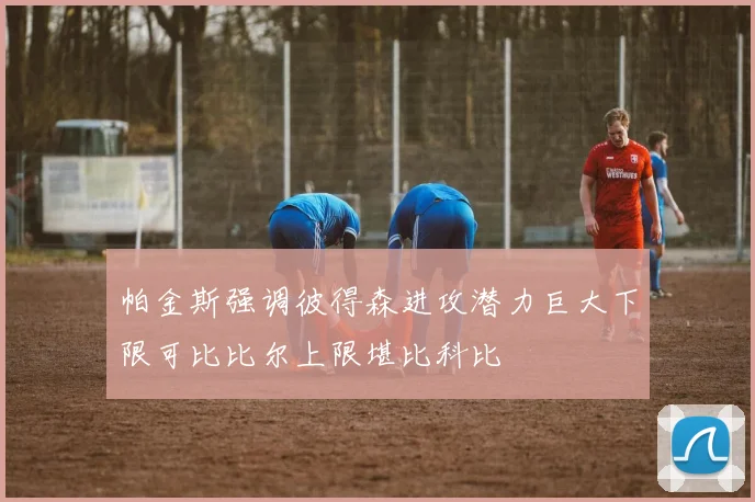 帕金斯强调彼得森进攻潜力巨大下限可比比尔上限堪比科比